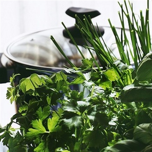 crock pot herbs crock pot herbs